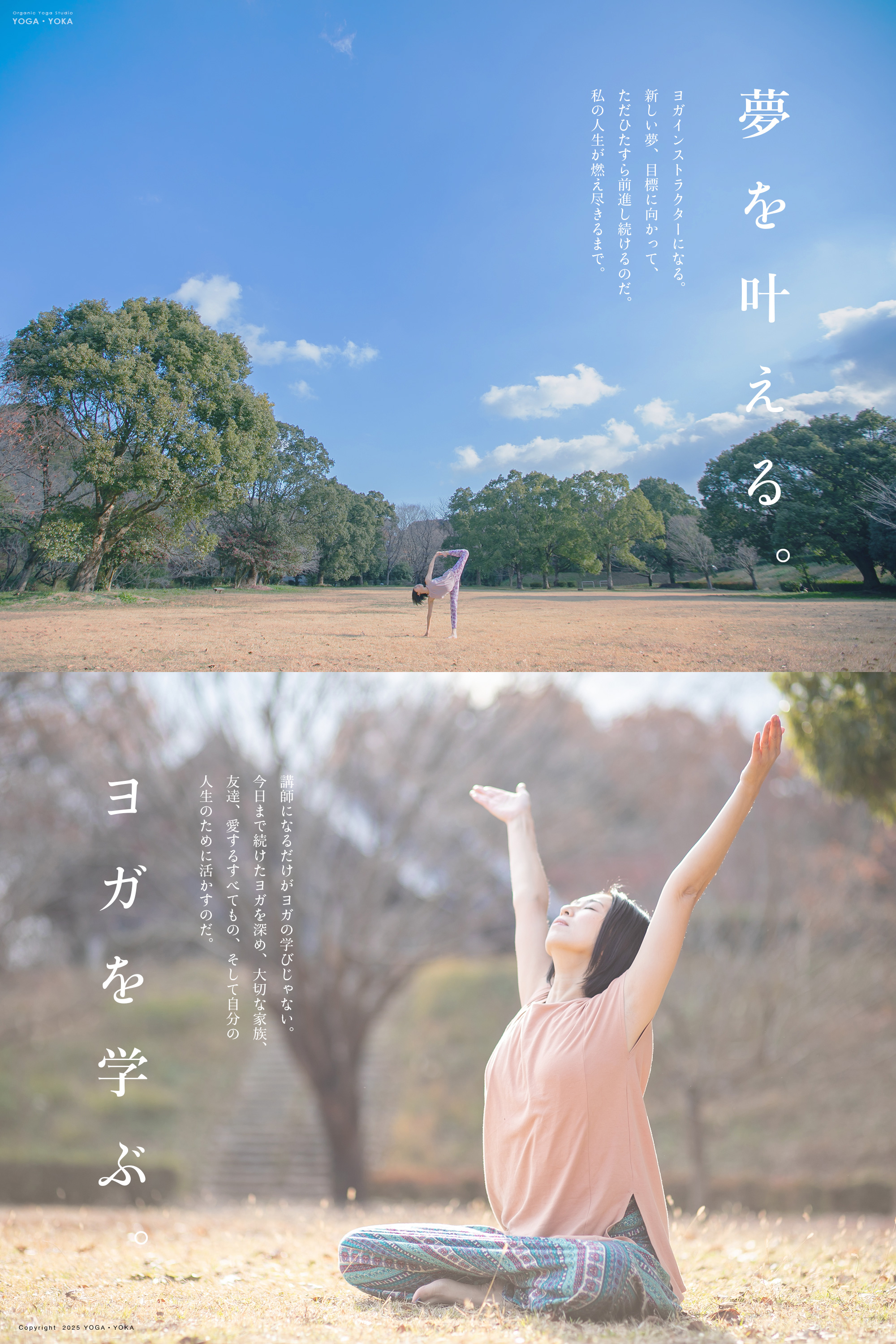 ヨガインストラクター & ヨガアカデミック養成講座